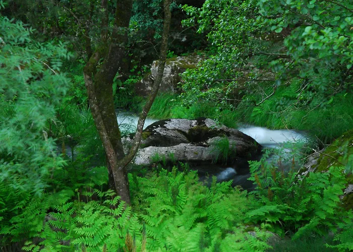 托雷多里奥酒店 4*
